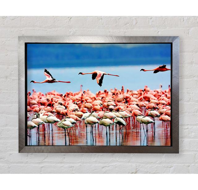 Pink Flamingos In Flight - Single Picture Frame Art Prints Bright Star Size: 100cm H x 141.4cm W x 3.4cm D on Productcaster.