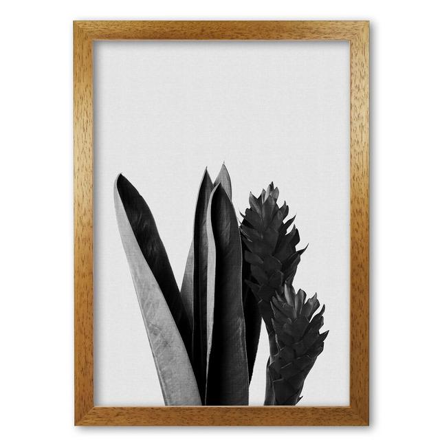 Flower Black & White - Graphic Art on Paper East Urban Home Format: Honey Oak Frame, Size: 60 cm H x 42 cm W x 5 cm D on Productcaster.