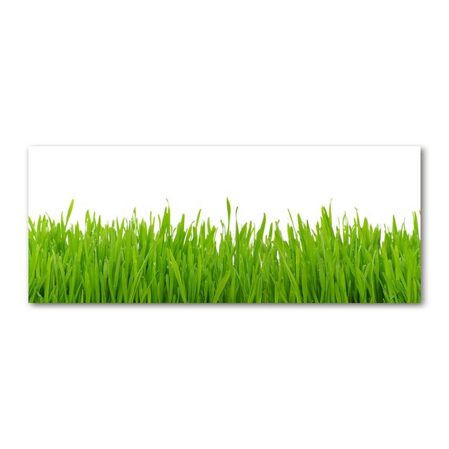 Grass - Unframed Art Prints on Canvas Brayden Studio on Productcaster.