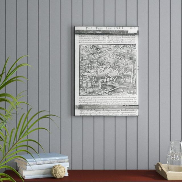 Jointing a Whale, from 'Cosmographie Universelle', 1575 by Andre Thevet Framed Graphic Art East Urban Home Size: 70cm H x 50cm W x 2.3cm D, Format: Bl on Productcaster.