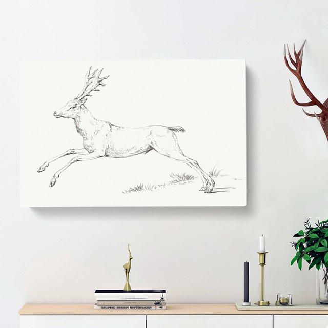 Jumping Deer Stag by Jean Bernard - Wrapped Canvas Painting Print East Urban Home Size: 35cm H x 50cm W x 3cm D on Productcaster.