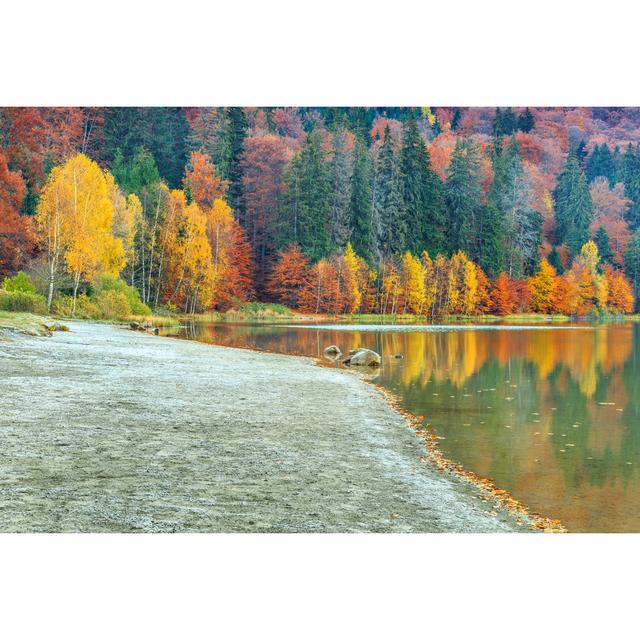 St Ana Lake by Unknown - Wrapped Canvas Photograph Alpen Home Size: 81cm H x 122cm W on Productcaster.