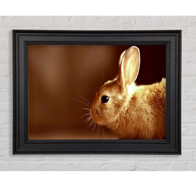 Bunny Whiskers - Single Picture Frame Print August Grove Size: 21cm H x 42cm W on Productcaster.