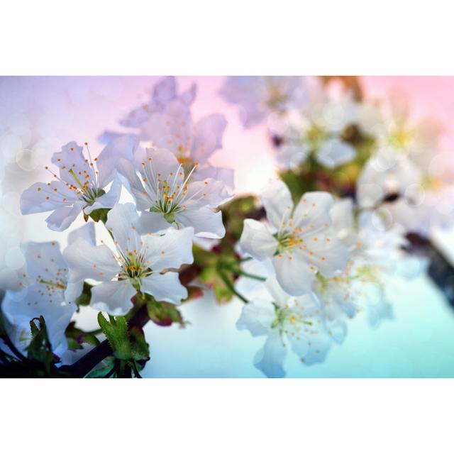 Spring Background. by Swkunst - Wrapped Canvas Print 17 Stories Size: 20cm H x 30cm W x 3.8cm D on Productcaster.