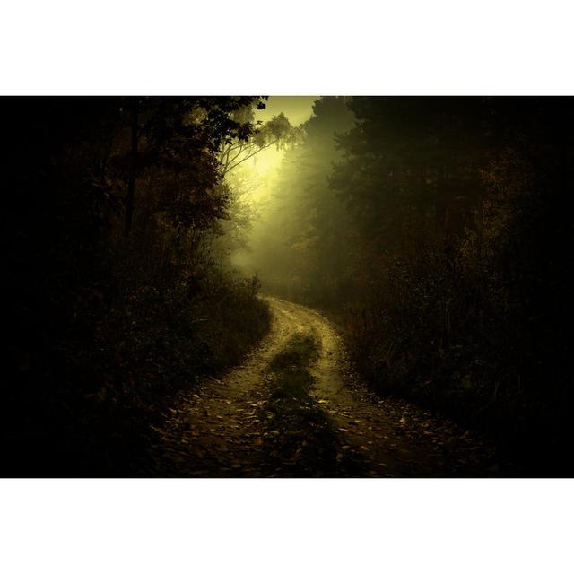 Road In Dark Foggy Forest by Antagain - Print Alpen Home Size: 60cm H x 90cm W on Productcaster.