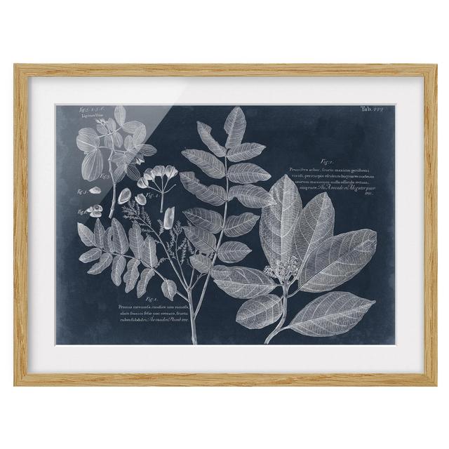 Foliage Dark Blue - Avocado - Picture Frame Painting August Grove Frame Option: Brown Framed, Size: 70cm H x 100cm W x 2cm D on Productcaster.