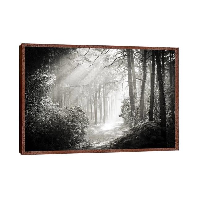 Into The Forest II by Dorit Fuhg - Print on Canvas Alpen Home Size: 45.72cm H x 66.04cm W x 3.81cm D, Format: Classic Brown Wood Framed Canvas on Productcaster.