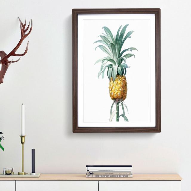 Pineapple Fruit by Pierre-Joseph Redoute - Picture Frame Painting Print on MDF East Urban Home Size: 65cm H x 48cm W x 2cm D, Frame Option: Walnut Fra on Productcaster.