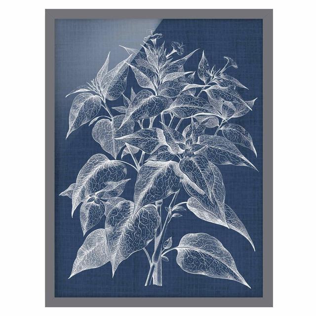 Denim Plant Study III - Picture Frame Painting Rosalind Wheeler Frame Option: Grey Framed, Size: 55cm H x 40cm W x 2cm D on Productcaster.