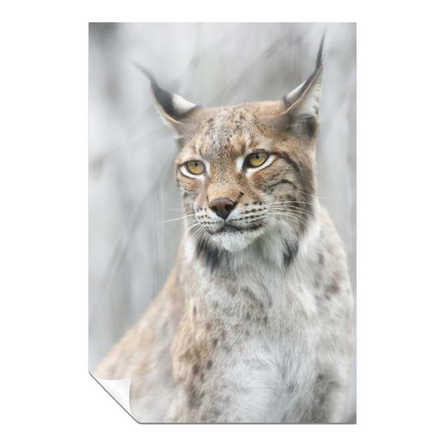 Panther Print Fine Art Prints Lynx In The Fog Portrait Artistic Unframed Poster, Pictures For Home Walls, Bedroom, Living Room & Bathroom Decor Panthe on Productcaster.