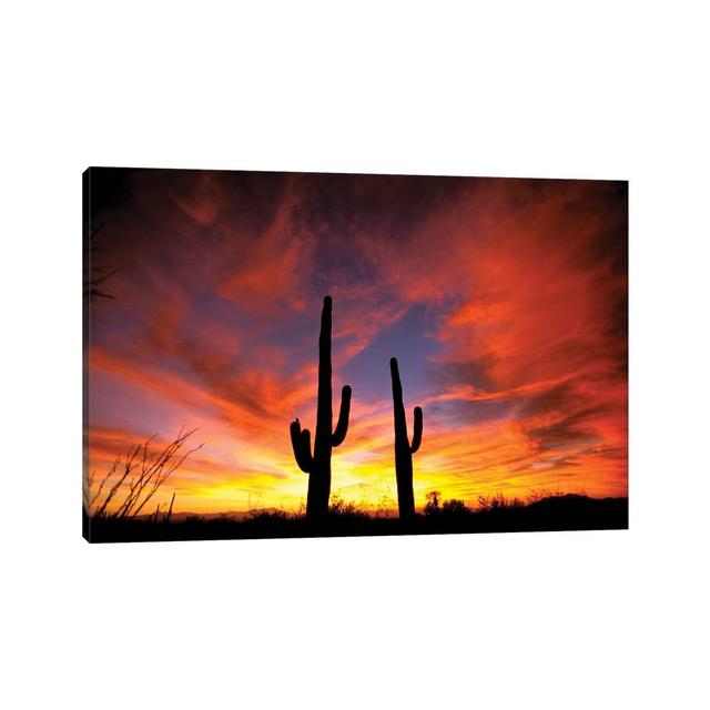 A Pair of Saguaro Cacti at Sunset, Sonoran Desert, Arizona, Usa by Marilyn Parver - Wrapped Canvas Photograph Gracie Oaks Size: 18cm H x 26cm W on Productcaster.