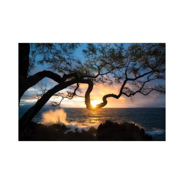 Silhouette Sunset by Dennis Frates - Wrapped Canvas Art Prints House of Hampton Size: 101.6cm H x 152.4cm W x 3.81cm D on Productcaster.