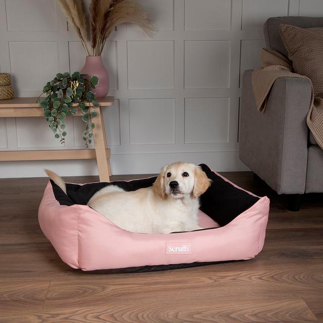 Scruffs Pet Bed Scruffs Colour: Rose Quartz, Size: 20cm H x 60cm W x 75cm D on Productcaster.