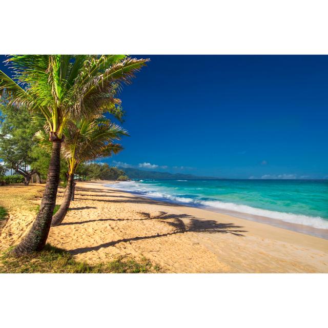 Paia Beach by 7Michael - Wrapped Canvas Photograph Pergo Classics Size: 51cm H x 76cm W x 3.8cm D on Productcaster.