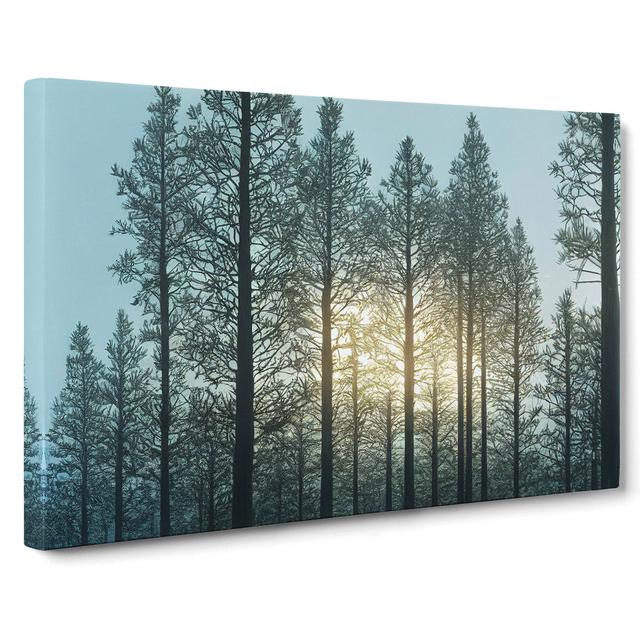 Sweet Pine Tree Forest - Wrapped Canvas Graphic Art Alpen Home Size: 40cm H x 60cm W x 3cm D on Productcaster.