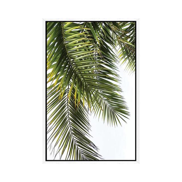 Leinwandbild Palm Leaves East Urban Home Größe: 66,04 cm H x 45,72 cm B x 3,81 cm T, Format: Schattenfugenrahmen in Weiß on Productcaster.