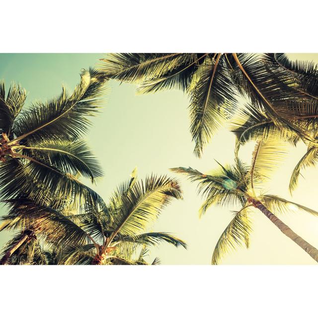 Coconut Palm Tree - Wrapped Canvas Print 17 Stories Size: 20cm H x 30cm W on Productcaster.