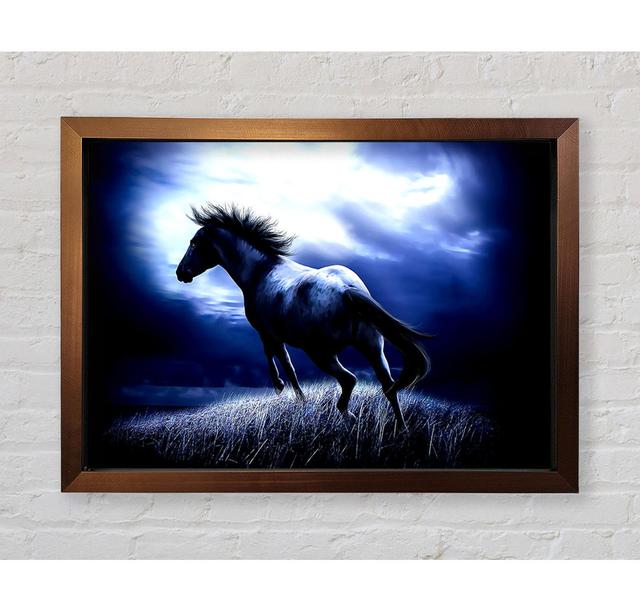 Dark Horse - Single Picture Frame Art Prints Natur Pur Size: 42.1cm H x 59.7cm W on Productcaster.