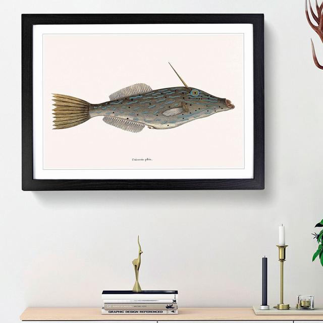 Bahama Unicorn Fish by Mark Catesby - Picture Frame Painting Print East Urban Home Frame Option: Black Framed, Size: 48cm H x 65cm W x 2cm D on Productcaster.