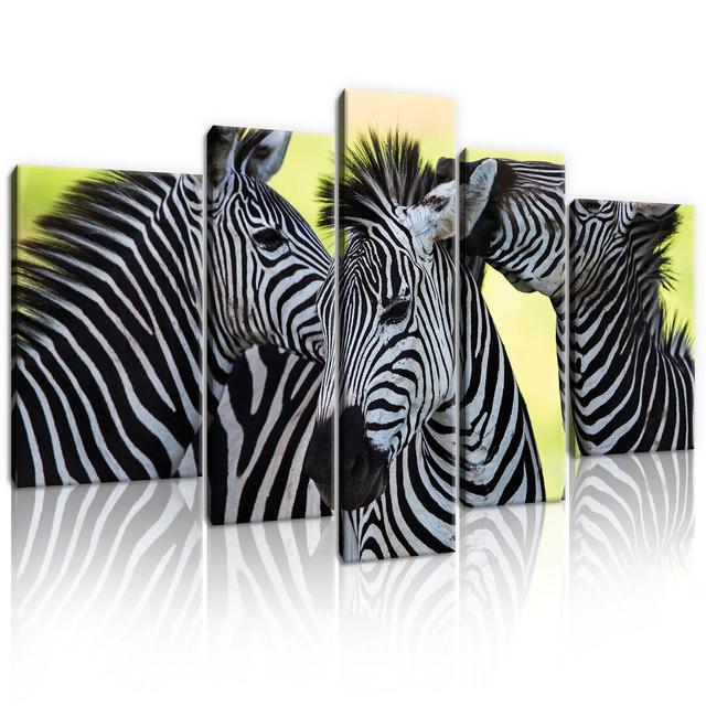 5-tlg. Leinwandbilder-Set Drei Fröhliche Zebras World Menagerie on Productcaster.