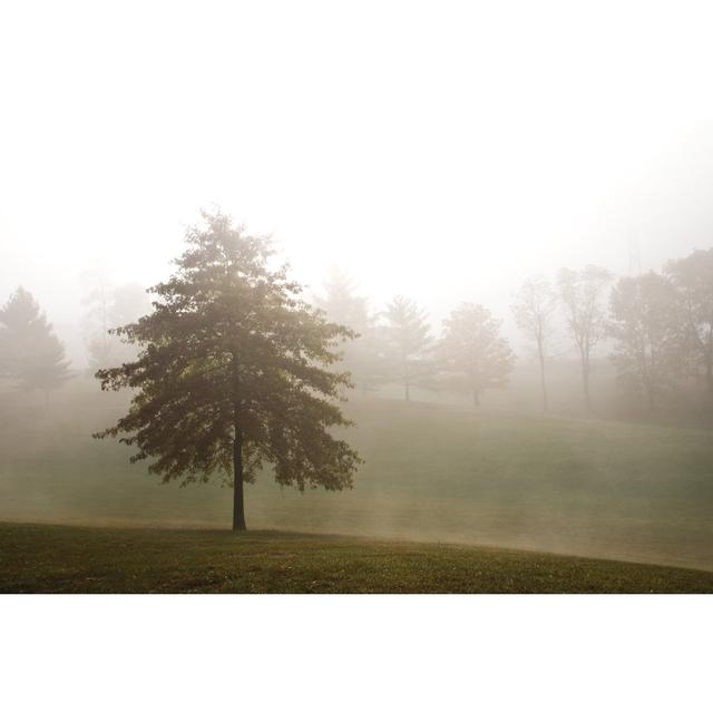 Morning Foggy Tree 2 - Wrapped Canvas Print 17 Stories Size: 81cm H x 122cm W x 3.8cm D on Productcaster.