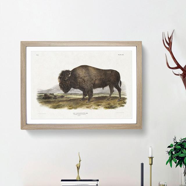 An American Bison by J.W. Audubon - Picture Frame Painting Print on Paper East Urban Home Frame Option: Oak Framed, Size: 45cm H x 63cm W x 2cm D on Productcaster.