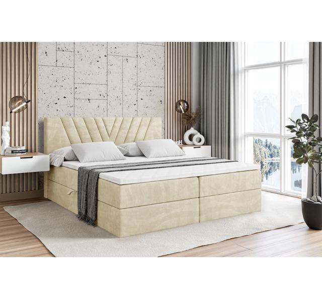 Boxspringbett Aoko ModernMoments Farbe: Beige/Cremefarben, Größe: 160 cm B x 200 cm L on Productcaster.