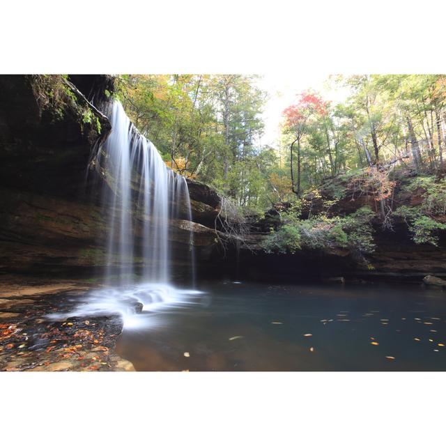 Caney Falls Alabama by Jeremy Edwards - No Frame Art Prints on Canvas Alpen Home Size: 20cm H x 30cm W on Productcaster.