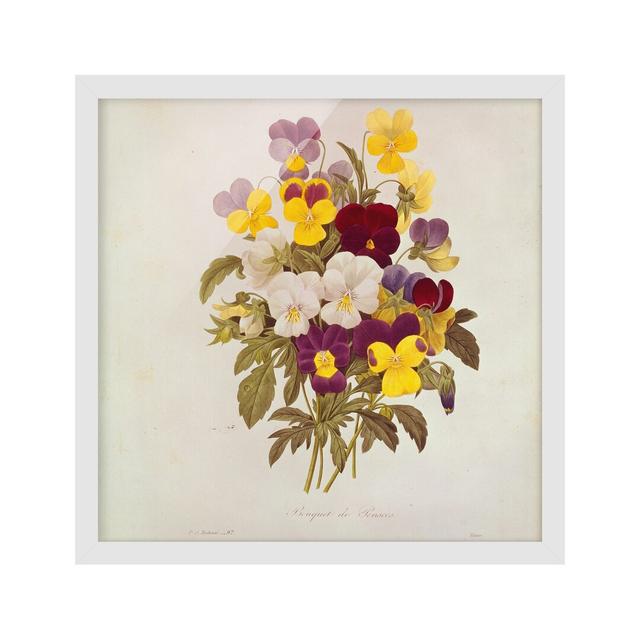 A Bunch of Pansies by Pierre Joseph Redouté - Picture Frame Painting Rosalind Wheeler Size: 50cm H x 50cm W x 2cm D, Frame Option: White Framed on Productcaster.