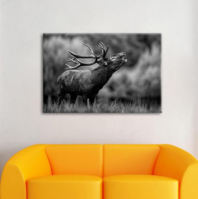 Leinwandbild Roaring Deer with Mighty Antlers Alpen Home Größe: 40 cm H x 60 cm B x 1,8 cm T on Productcaster.