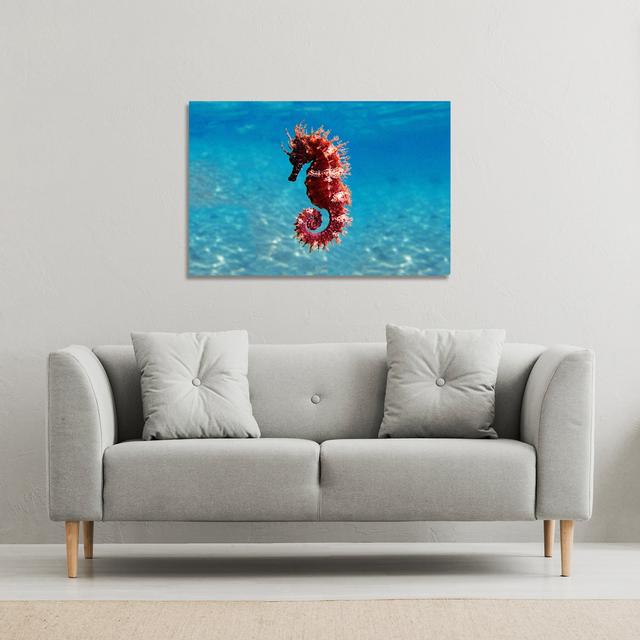 Mediterranean Seahorse Canvas Print Andrew Lee Size: 77cm H x 101cm W x 4cm D on Productcaster.