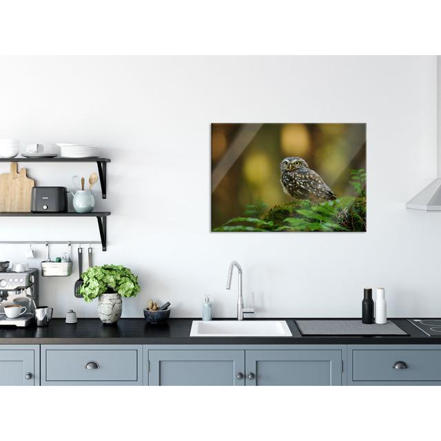 Cute Baby Owl - No Frame Print on Glass Union Rustic Size: 60cm H x 80cm W x 0.4cm D on Productcaster.