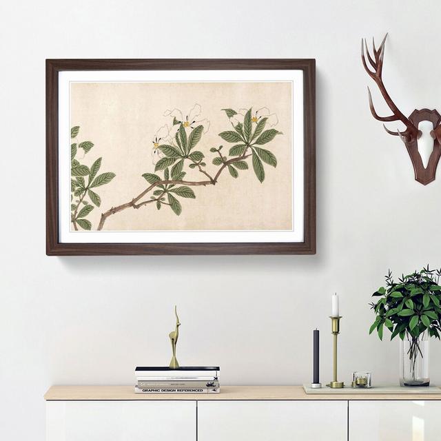 Flowers of the Four Seasons Vol.3 by Shen Zhou - Picture Frame Painting Print East Urban Home Frame Option: Walnut Framed, Size: 36cm H x 48cm W x 2cm on Productcaster.