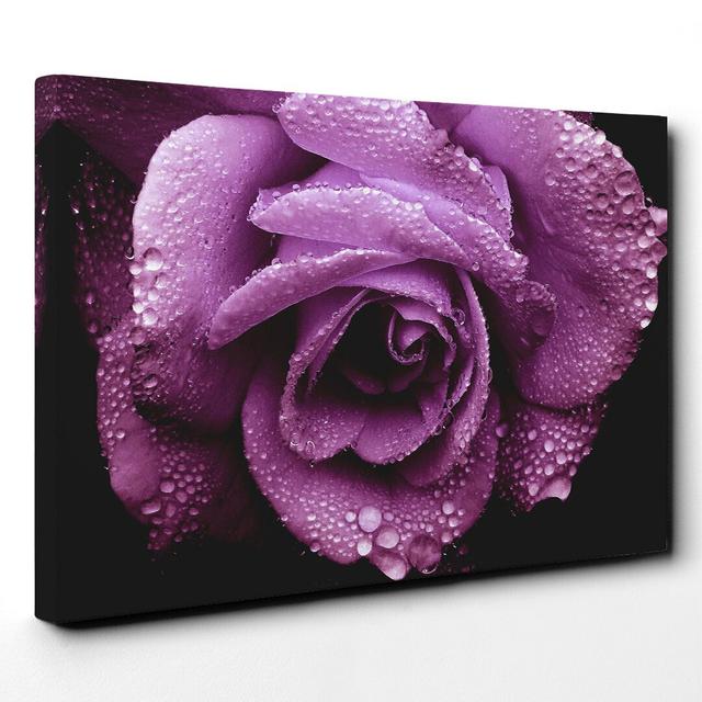 Flower Purple Rose Photographic Print on Canvas East Urban Home Size: 50cm H x 76cm W on Productcaster.