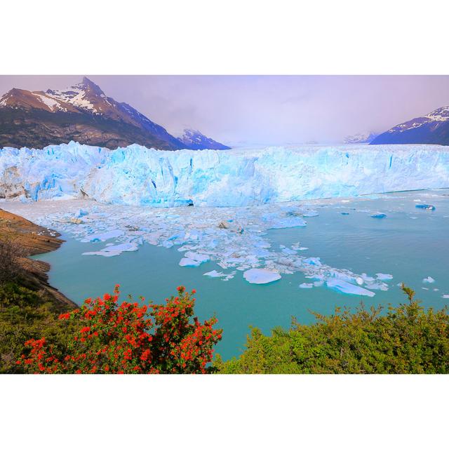 Bright Moreno Glacier by Agustavop - No Frame Art Prints on Canvas Beachcrest Home Size: 20cm H x 30cm W on Productcaster.