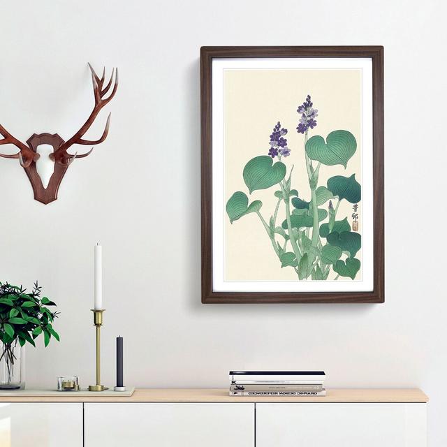 Blooming Hosta Flower by Ohara Koson - Picture Frame Painting Print East Urban Home Frame Option: Walnut Framed, Size: 65cm H x 48cm W x 2cm D on Productcaster.