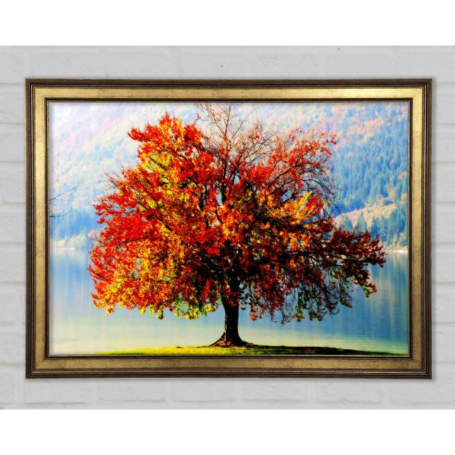 The Old Winter Tree In Autumn - Single Picture Frame Art Prints Ophelia & Co. Size: 84.1cm H x 118.9cm W x 1.5cm D on Productcaster.