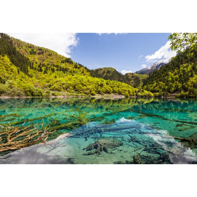 Lake At Jiuzhaigou by Fototrav - Wrapped Canvas Art Prints Alpen Home Size: 81cm H x 122cm W on Productcaster.