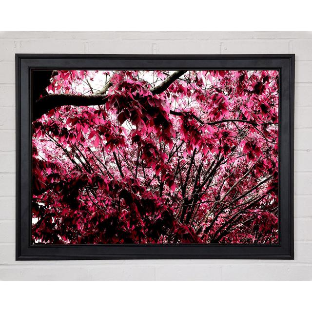 Pink Tree Framed Print Ebern Designs Size: 21cm H x 29.7cm W on Productcaster.