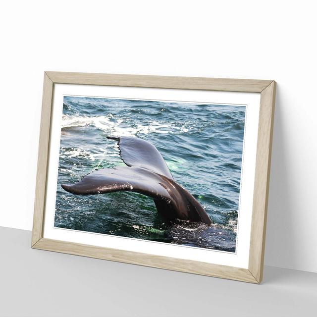 'Whale Tail' Framed Photographic Print Big Box Art Frame Colour: Oak on Productcaster.