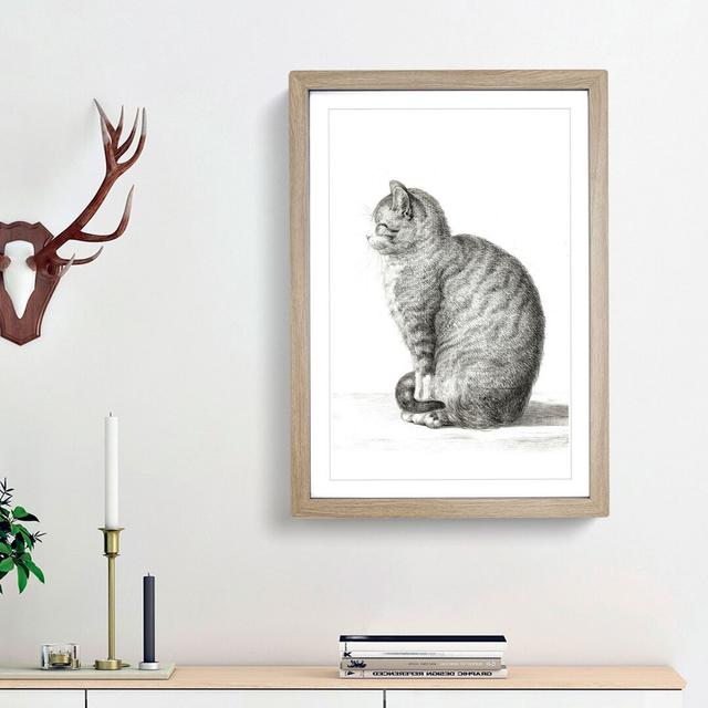 'A Sitting Cat' by Jean Bernard - Picture Frame Drawing Print on Paper East Urban Home Size: 63cm H x 45cm W x 2cm D, Format: Oak Bordered Framed on Productcaster.