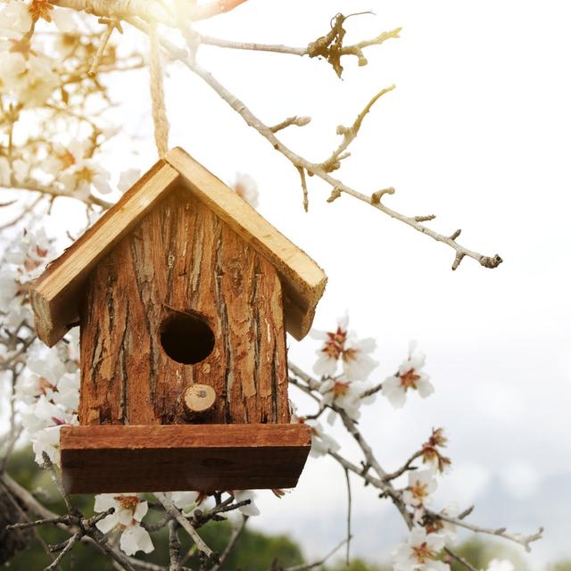 Birdhouse in Spring by Morgan_studio - Wrapped Canvas Photograph 17 Stories Size: 51cm H x 51cm W on Productcaster.