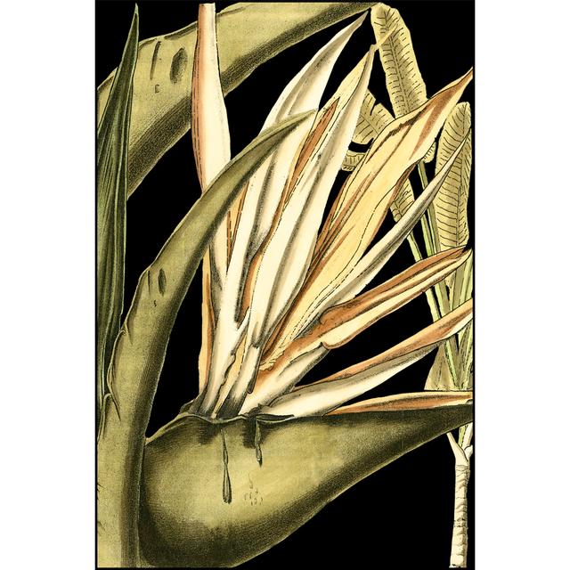 Tranquil Tropical Leaves III - Wrapped Canvas Painting Pergo Classics Size: 122cm H x 81cm W on Productcaster.