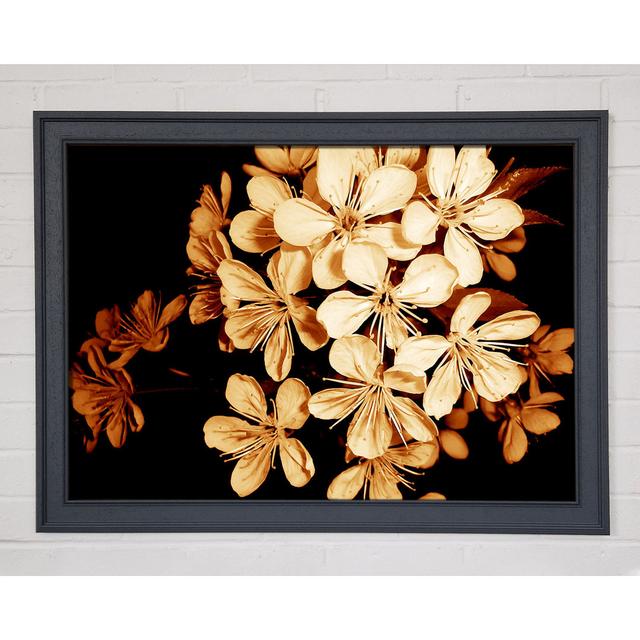 Cocoa Flowers - Single Picture Frame Art Prints Ebern Designs Size: 84.1cm H x 118.9cm W on Productcaster.