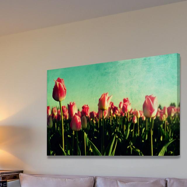 How Does Your Garden Grow by Robin Delean - Wrapped Canvas Photograph Print East Urban Home Size: 61 cm H x 91 cm W x 4 cm D on Productcaster.