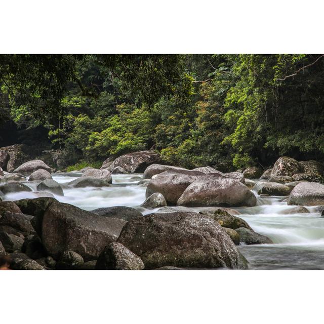 Mossman Gorge in Daintree National Park by Uwe-Bergwitz - Wrapped Canvas Photograph Alpen Home Size: 61cm H x 91cm W on Productcaster.