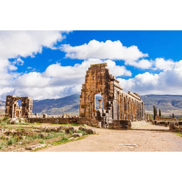 Manolita Volubilis In Morocco by Saiko3p - Wrapped Canvas Print 17 Stories Size: 61cm H x 91cm W x 3.8cm D on Productcaster.