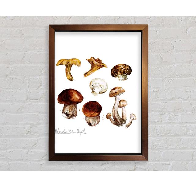 Different Types Of Mushrooms - Print August Grove Format: Ventura Bronze Framed Paper, Size: 84.1cm H x 118.9cm W x 3.4cm D on Productcaster.