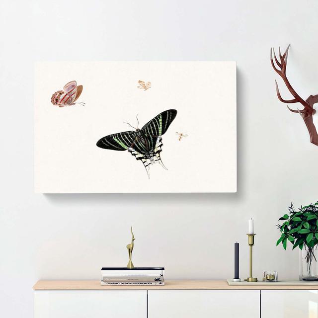 A Wasp & Three Butterflies by Herman Henstenburgh - Wrapped Canvas Painting East Urban Home Size: 50cm H x 76cm W x 3cm D on Productcaster.