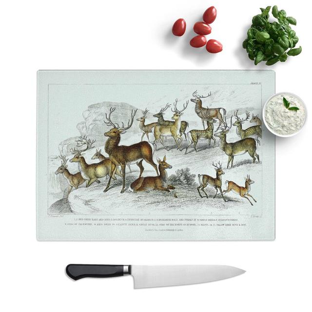 Tempered Glass Deer's and Stags Chopping Board East Urban Home Size: 28.5 cm W x 20 cm L on Productcaster.